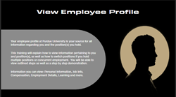 Concurrent Employment